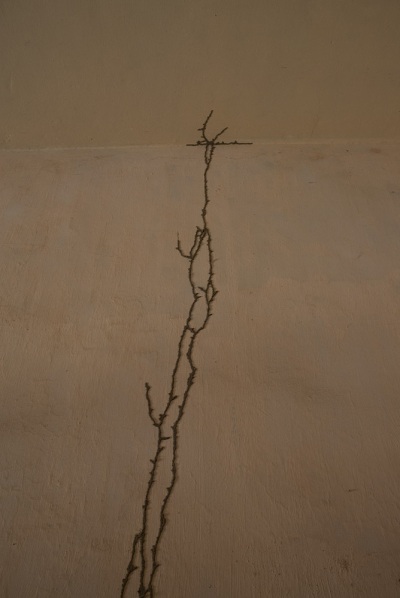 termite gallery